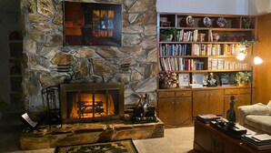 Een gezellige woonkamer met een stenen openhaard, een boekenplank vol boeken en een comfortabele zithoek.