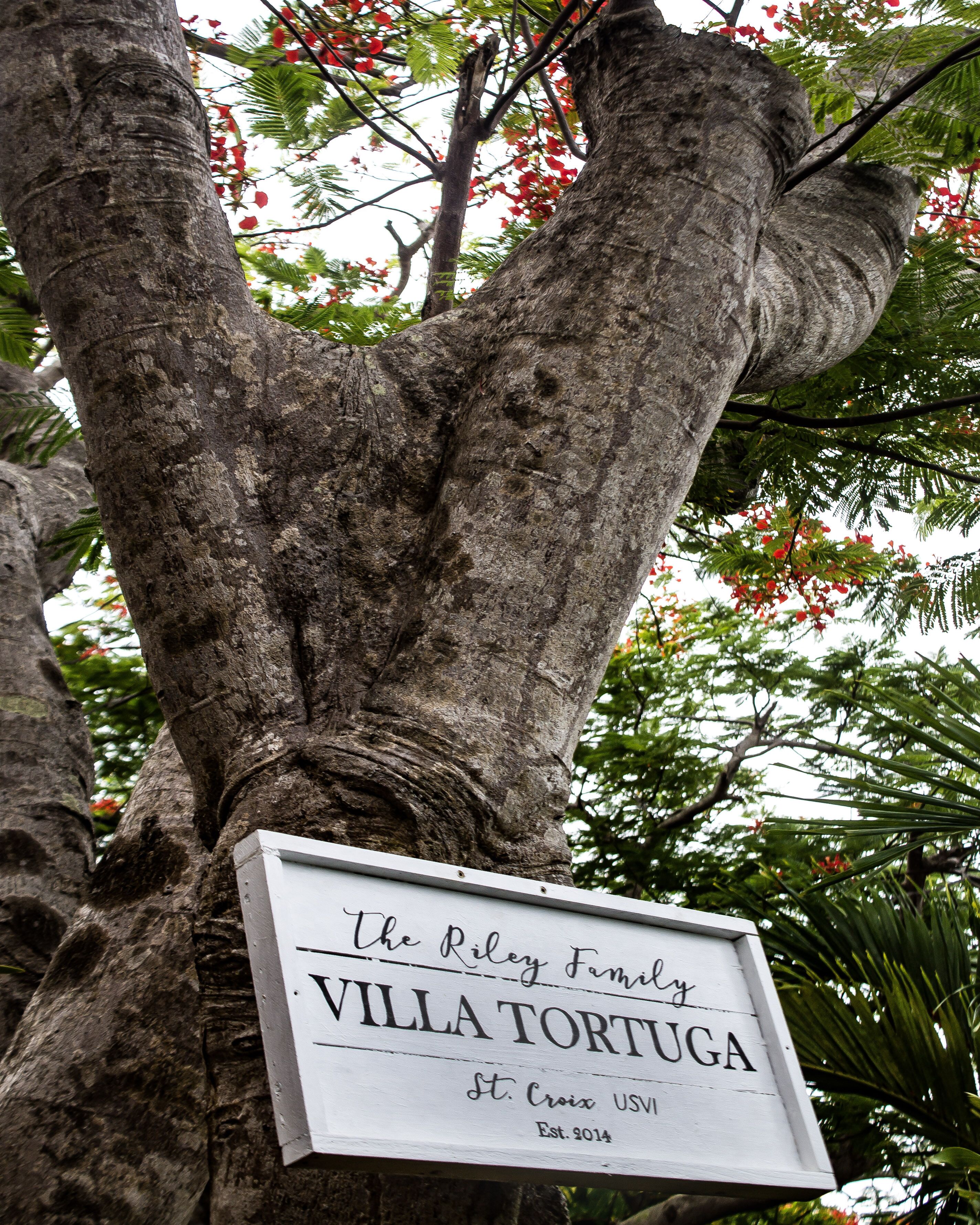 A sign on a tree trunk that reads "The Riley Family Villa Tortuga St. Croix USVI Est. 2014".