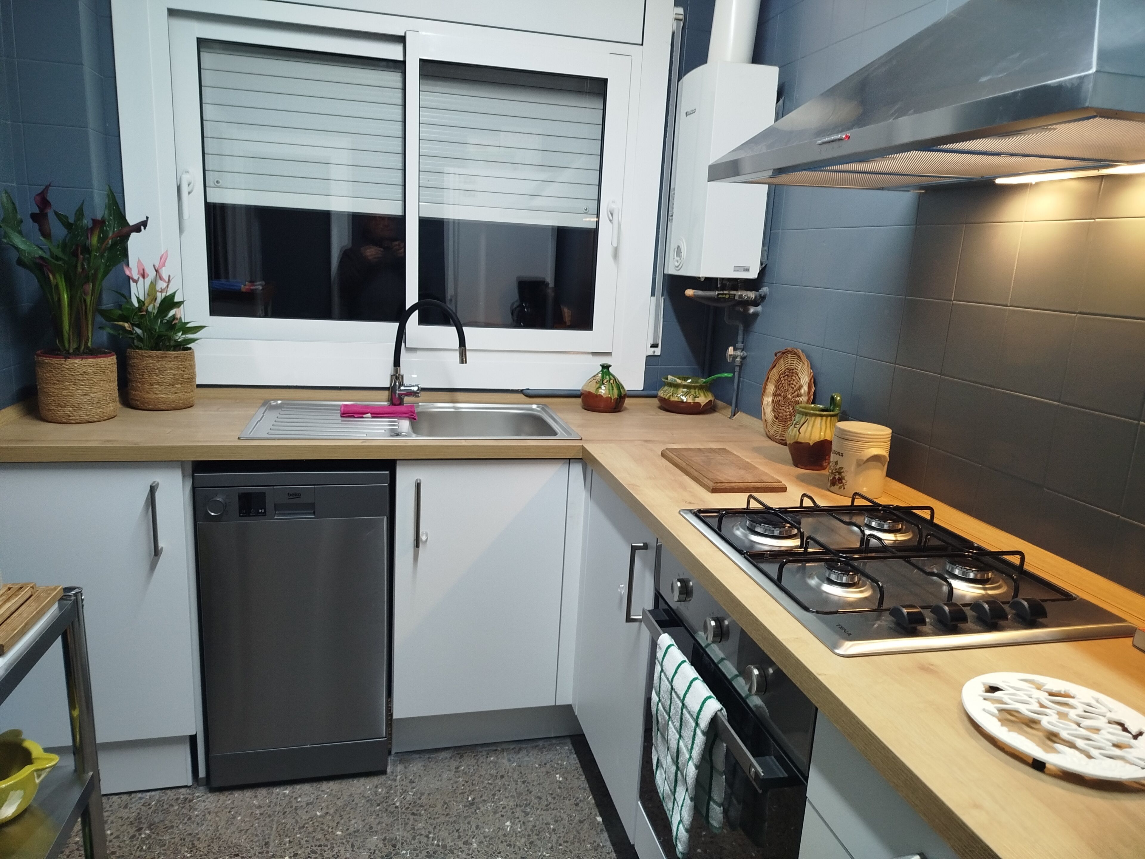 A modern kitchen with a dishwasher, stove, and sink.