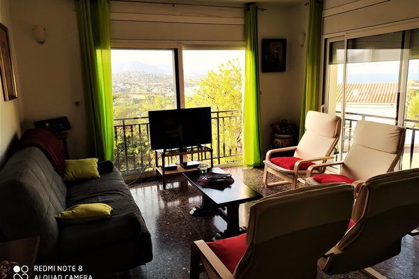 Smart TV, chimenea, reproductor de DVD y estéreo