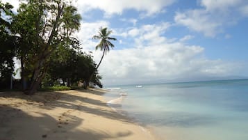 Playa en los alrededores