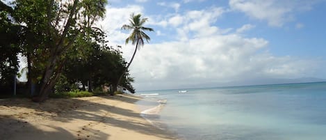 Una spiaggia nelle vicinanze