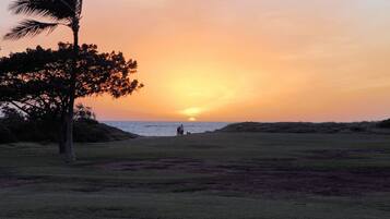 Een zonsondergang boven een strand met een persoon en een hond in de verte, palmbomen en een grasveld.