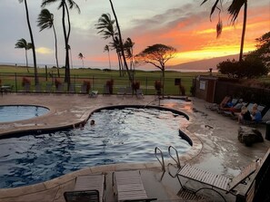 A swimming pool with lounge chairs and palm trees, surrounded by a fence.