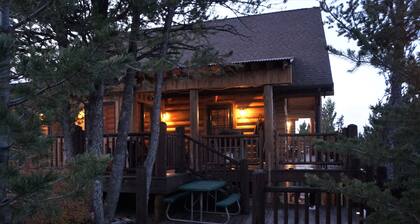 Mountainside Luxurious/Rustic Log Home~Majestic Views~Prime Location