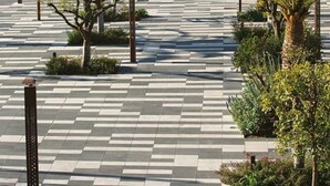 Un sendero pavimentado bordeado de palmeras y follaje, que conduce a un edificio con una cúpula y varios balcones.