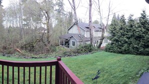 A wooden deck with a railing, a grassy yard, and a house surrounded by trees. - Spacious house, easy access from Seatac, Seattle & Bellevue.   (Newcastle)