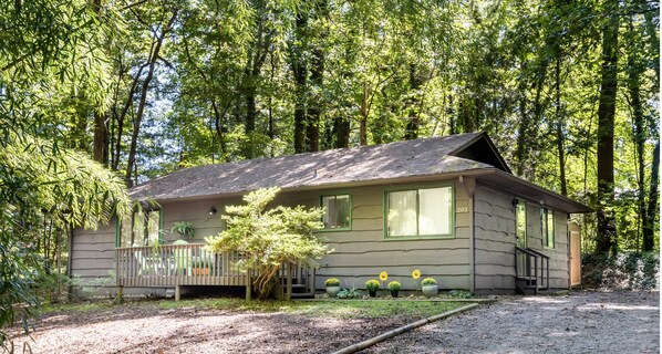 A single-story house with a sloped roof, surrounded by dense forest.