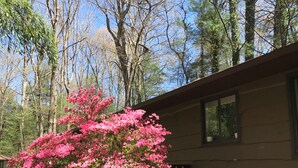 Una casa con un porche de madera y un árbol floreciente de color rosa en primer plano.