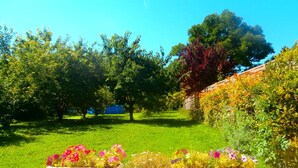 A garden with three planters of flowers and a tree in the background.