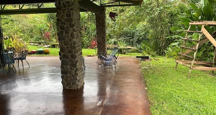 Desayuno con tucanes y monos