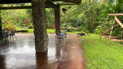 Breakfast With Toucans And Monkeys