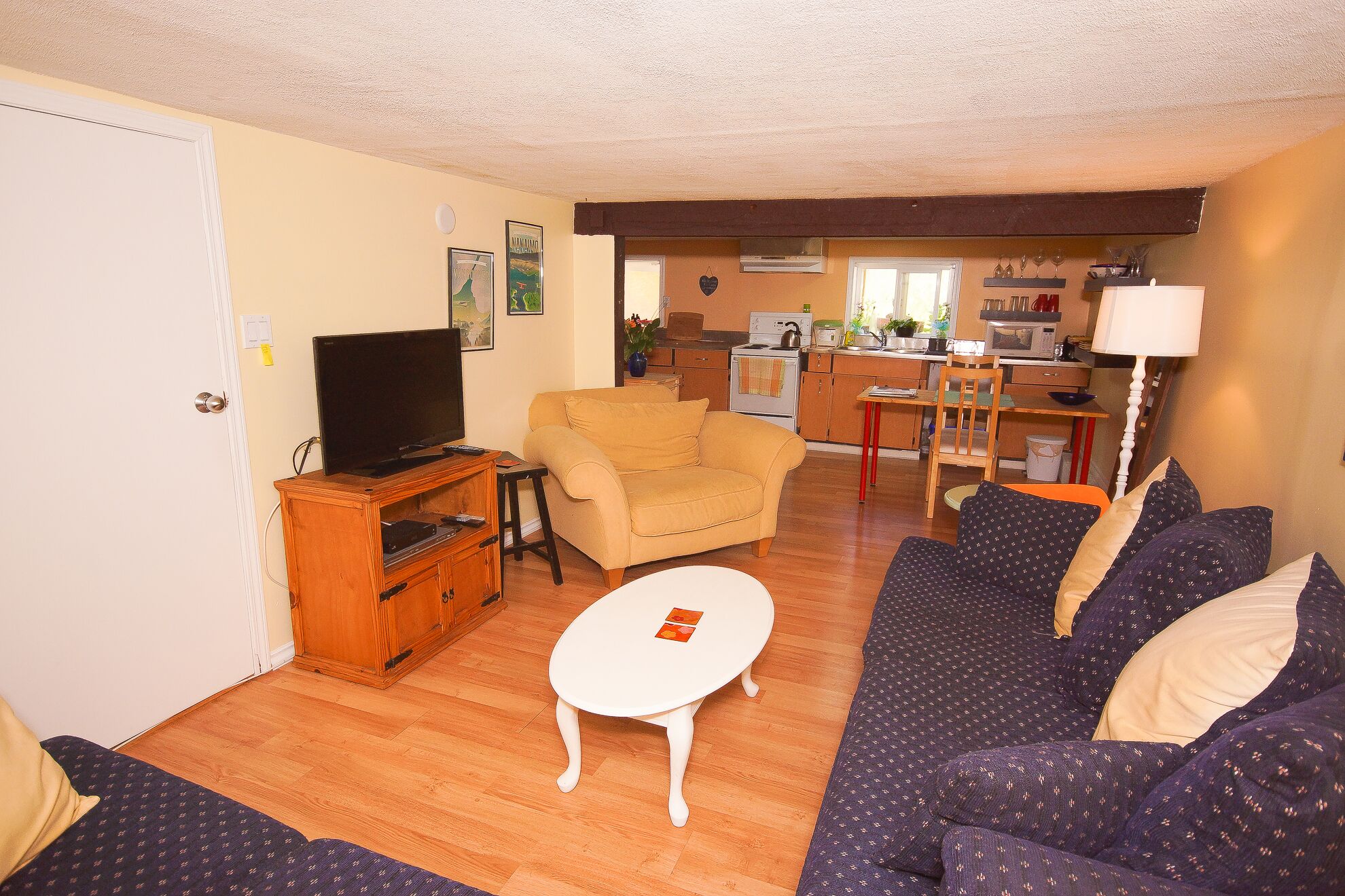 Smart TV, DVD player, books, video library