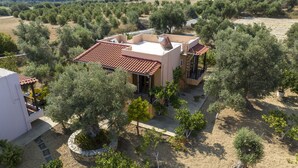 Une maison moderne avec un toit en tuiles, entourée d’oliviers et bordée d’un chemin en pierre.