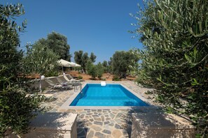 A rectangular swimming pool with a stone border, surrounded by olive trees and a clear blue sky. - Villa Afroditi in Cretan nature (Rethymno)