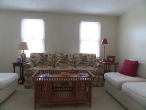 TV - Charming Downtown Chatham (Chatham)