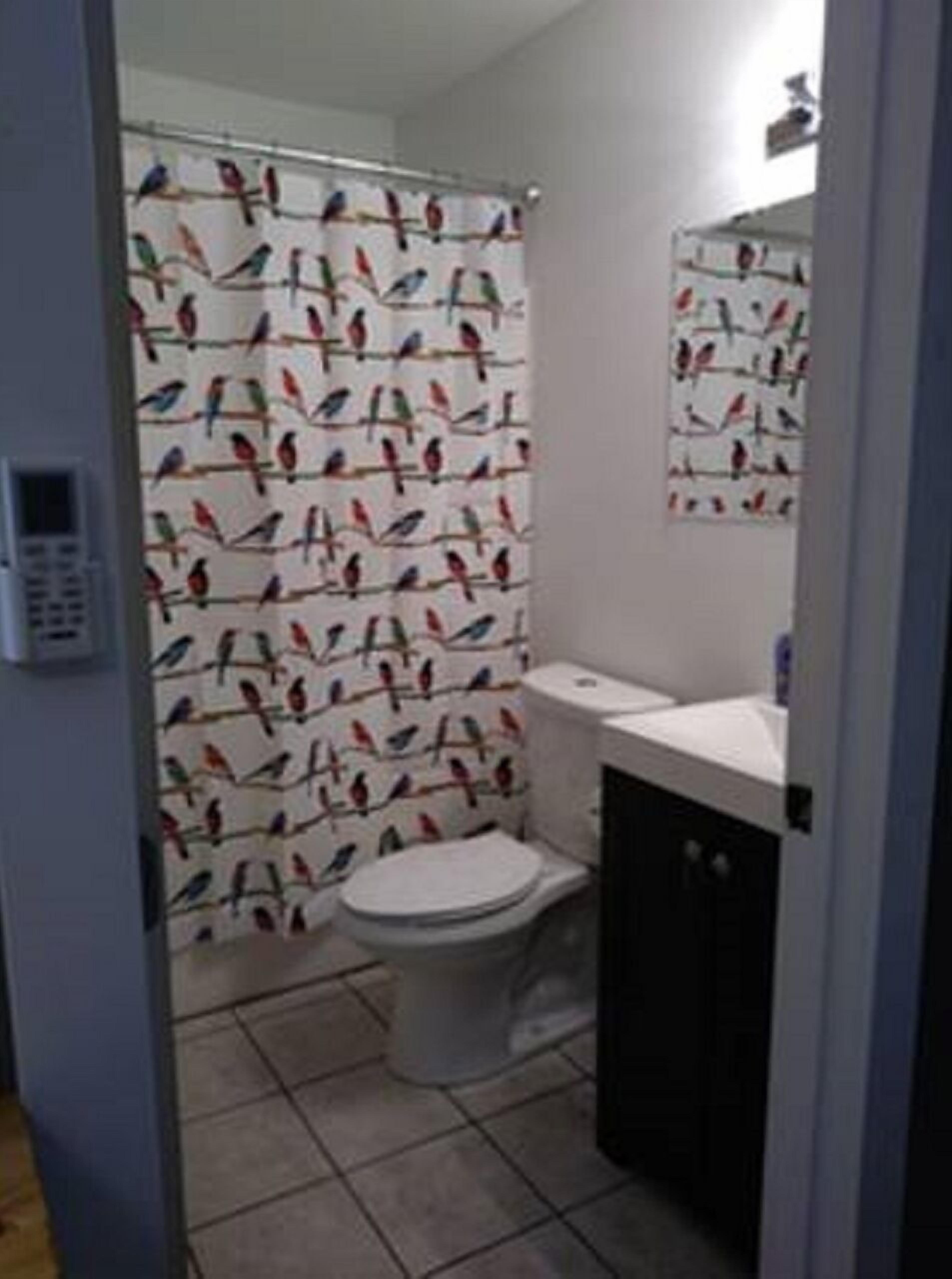 Ensemble douche/baignoire, sèche-cheveux, serviettes fournies, savon