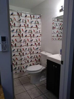 Combined shower/bathtub, hair dryer, towels, soap