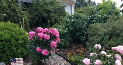 Relax Above The City In Spacious Accommodations With Gorgeous Views-Pets Welcome