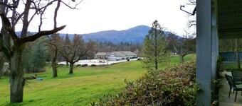 Charming Renowated Downstairs Unit-close To Everything!