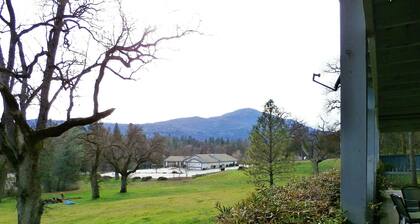 Charming Renowated Downstairs Unit-close To Everything!