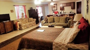 Smart TV, Netflix, DVD player, books