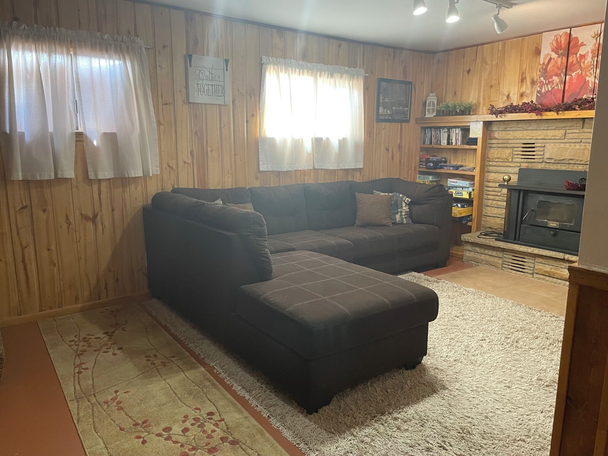 TV, fireplace, video games, DVD player