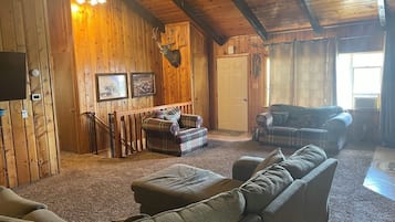 TV, fireplace, video games, DVD player