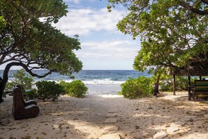 Un sendero bordeado de árboles que lleva a la playa, con un banco de madera.