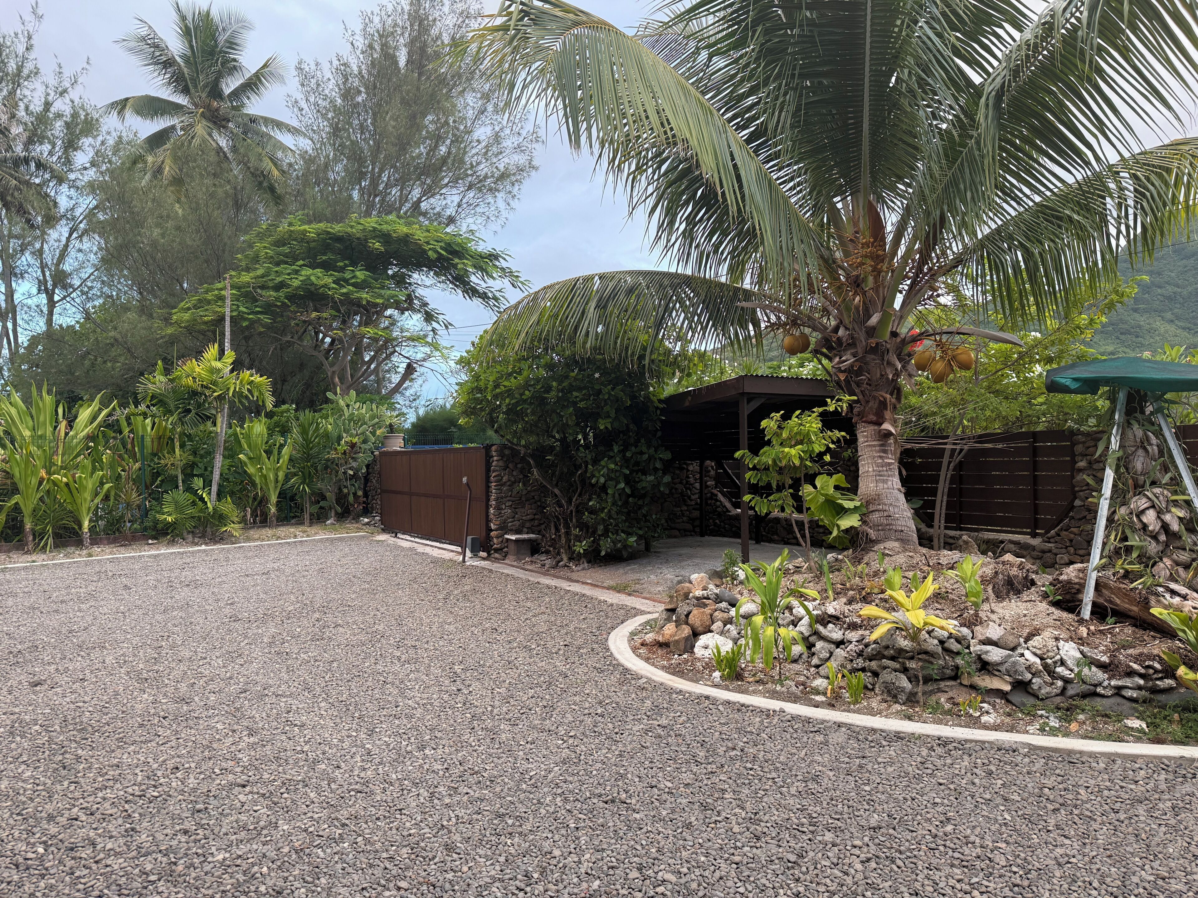Un camino de grava que conduce a una estructura cubierta con un muro de piedra, rodeada de vegetación tropical y palmeras.