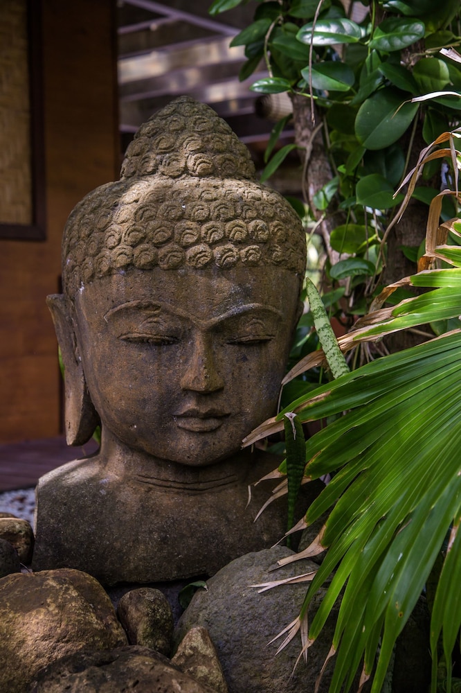 Green Lodge Moorea by null