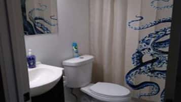 Combined shower/bathtub, hair dryer, towels
