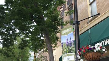 A street view with a sign for Buffalo Sports Lure, a flower basket hanging outside a building, and a sign for Capital Hotel offering rooms and amenities.