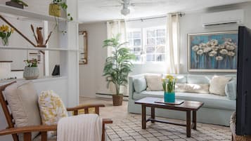 Smart TV, DVD player, video library