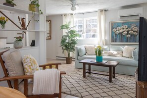 Smart TV, DVD player, video library