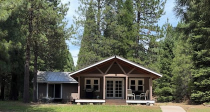 Mt. Shasta - McCloud Trees and privacy on three acres. Pets OK.