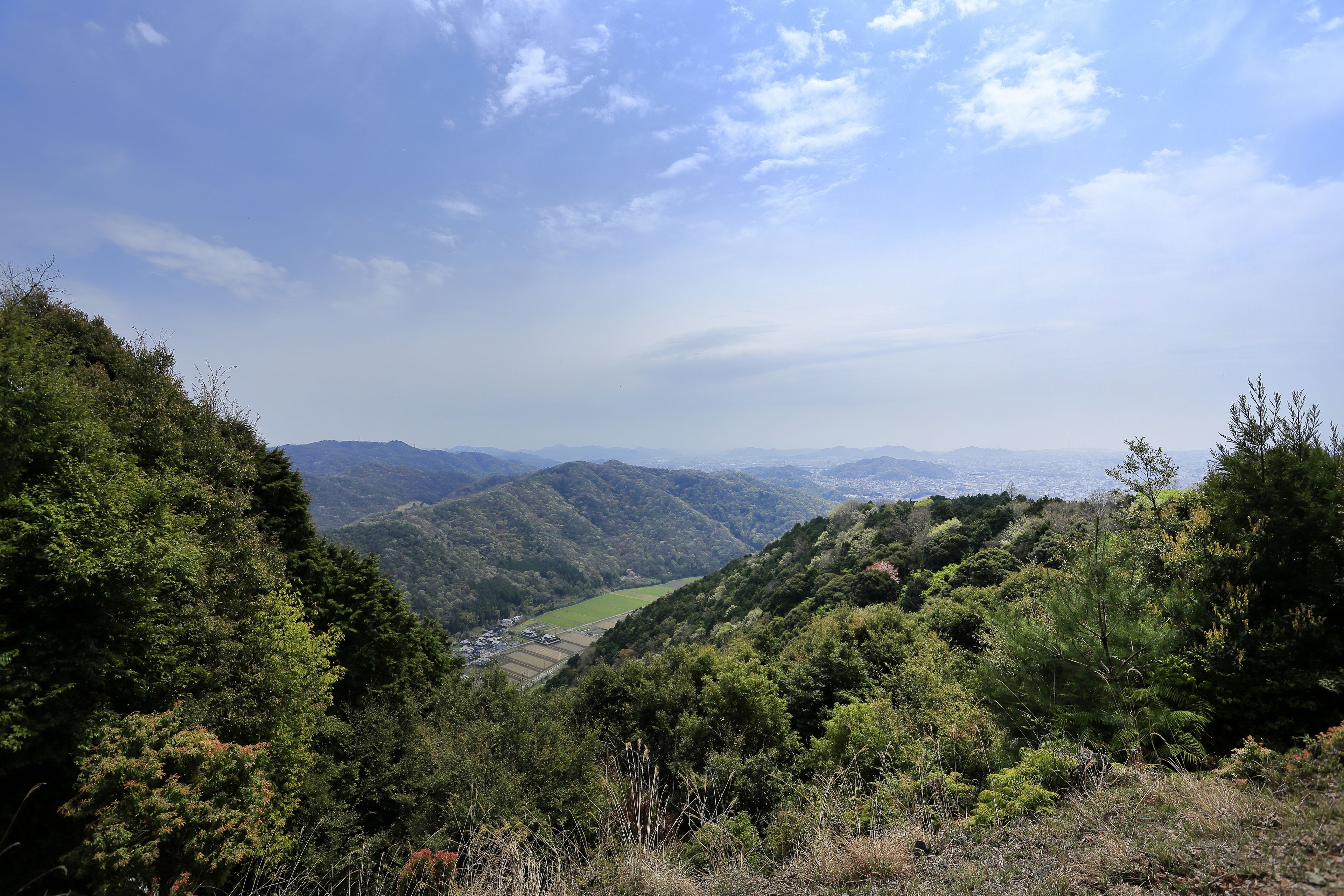 Paesaggio montuoso con fitta foresta e una valle.