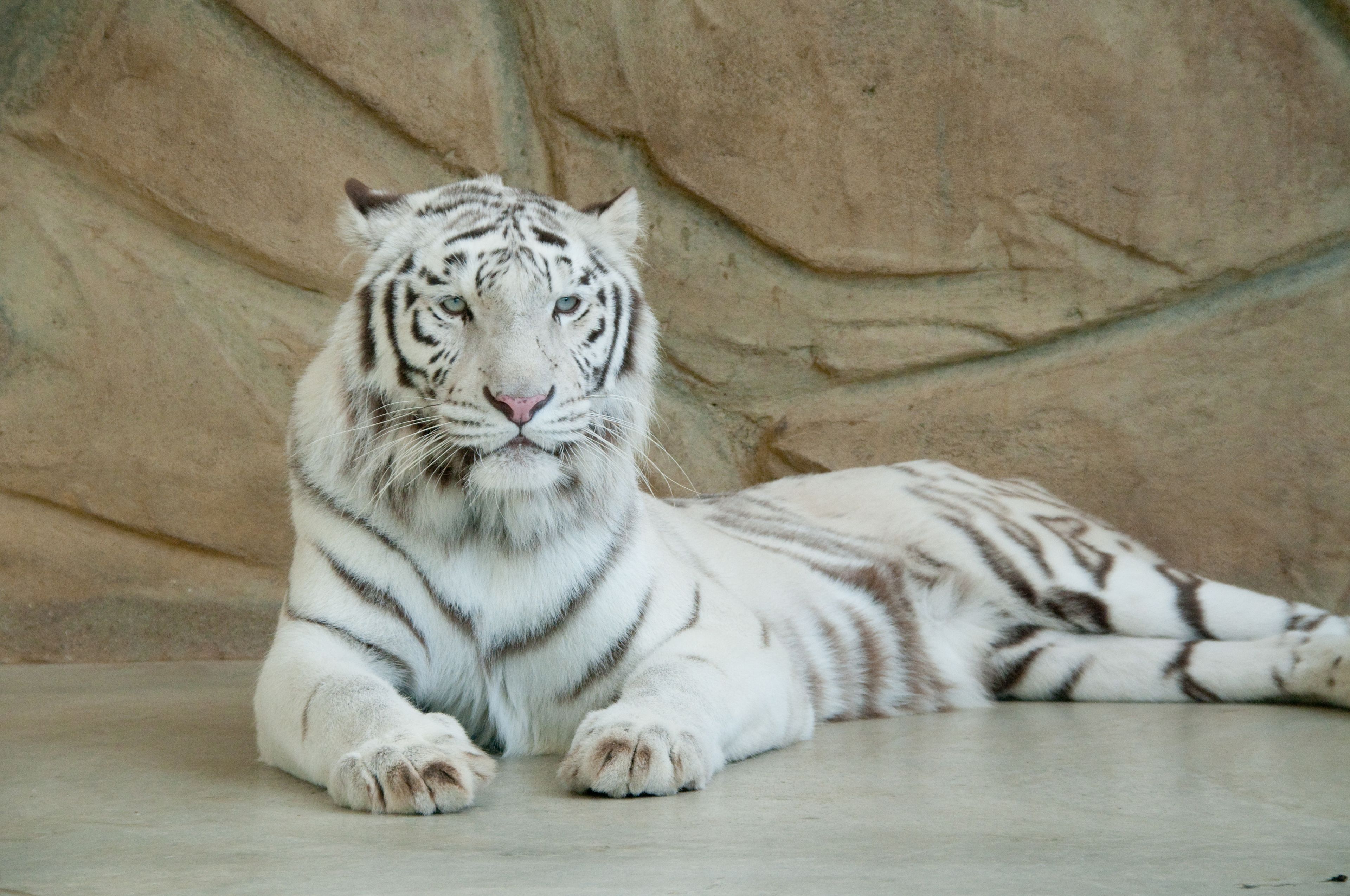 Photo - Hotel Monterey Himeji