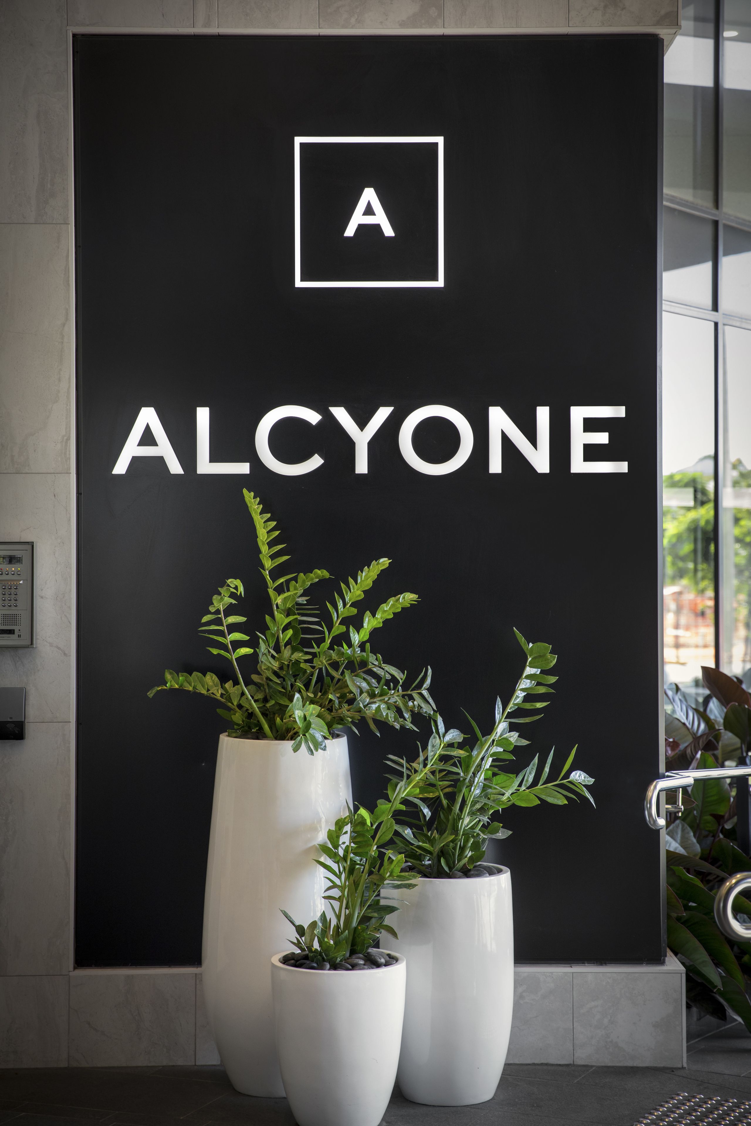 A black sign with the word "ALCYONE" and a letter "A" in a white square. There are three white planters with green plants in front of the sign.