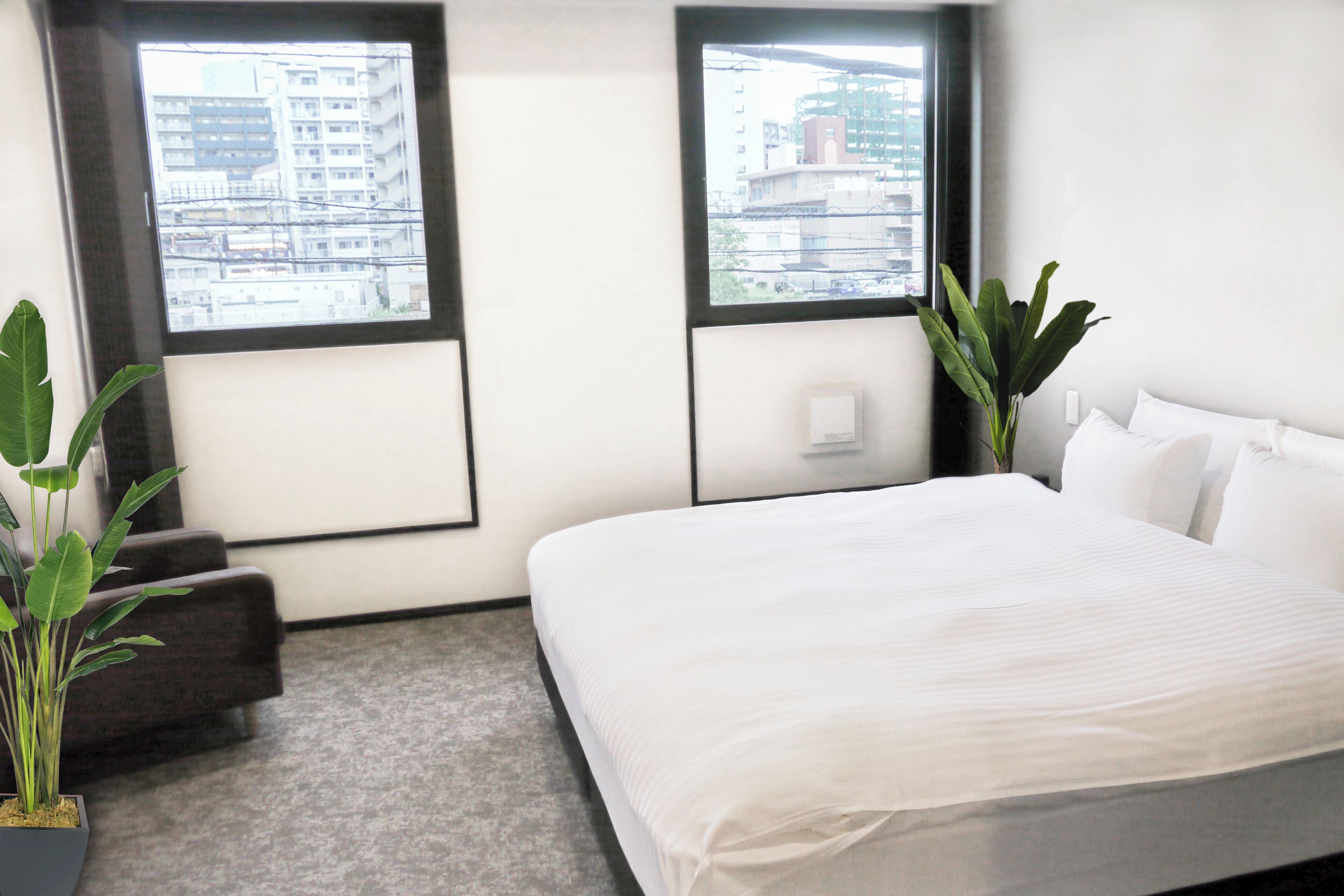 A hotel room with a large bed, two windows, a plant, and a grey carpet.