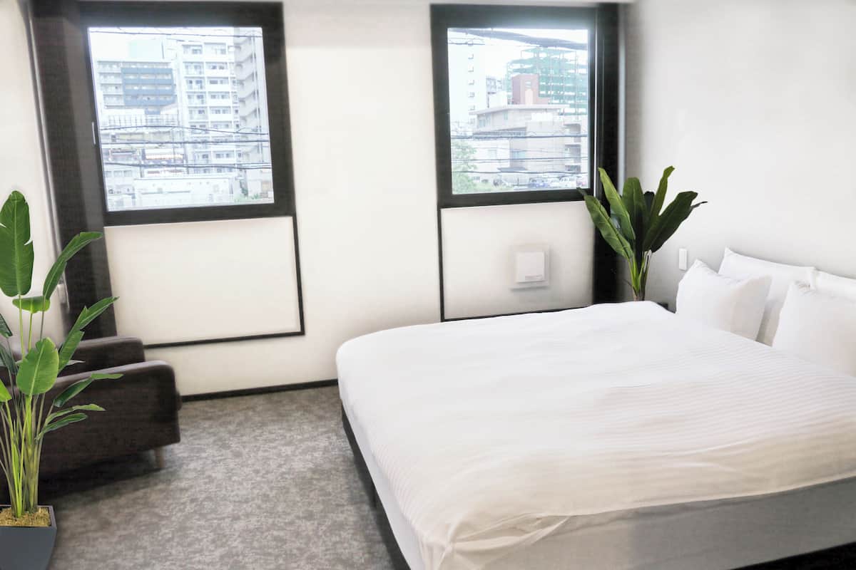 A hotel room with a large bed, two windows, a plant, and a grey carpet.