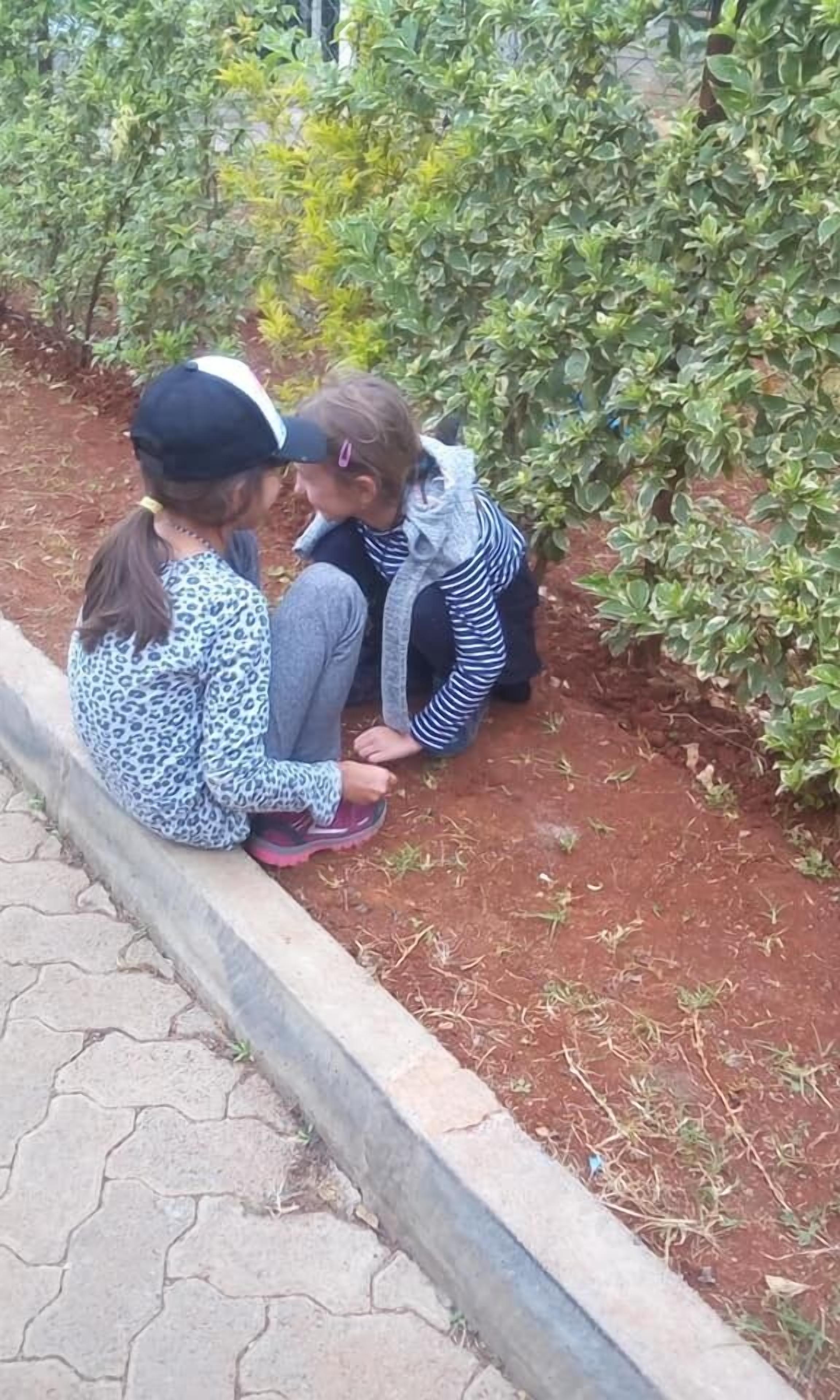 Deux personnes sont assises sur une surface pavée, à côté d’un parterre de fleurs où poussent des plantes à feuillage vert.