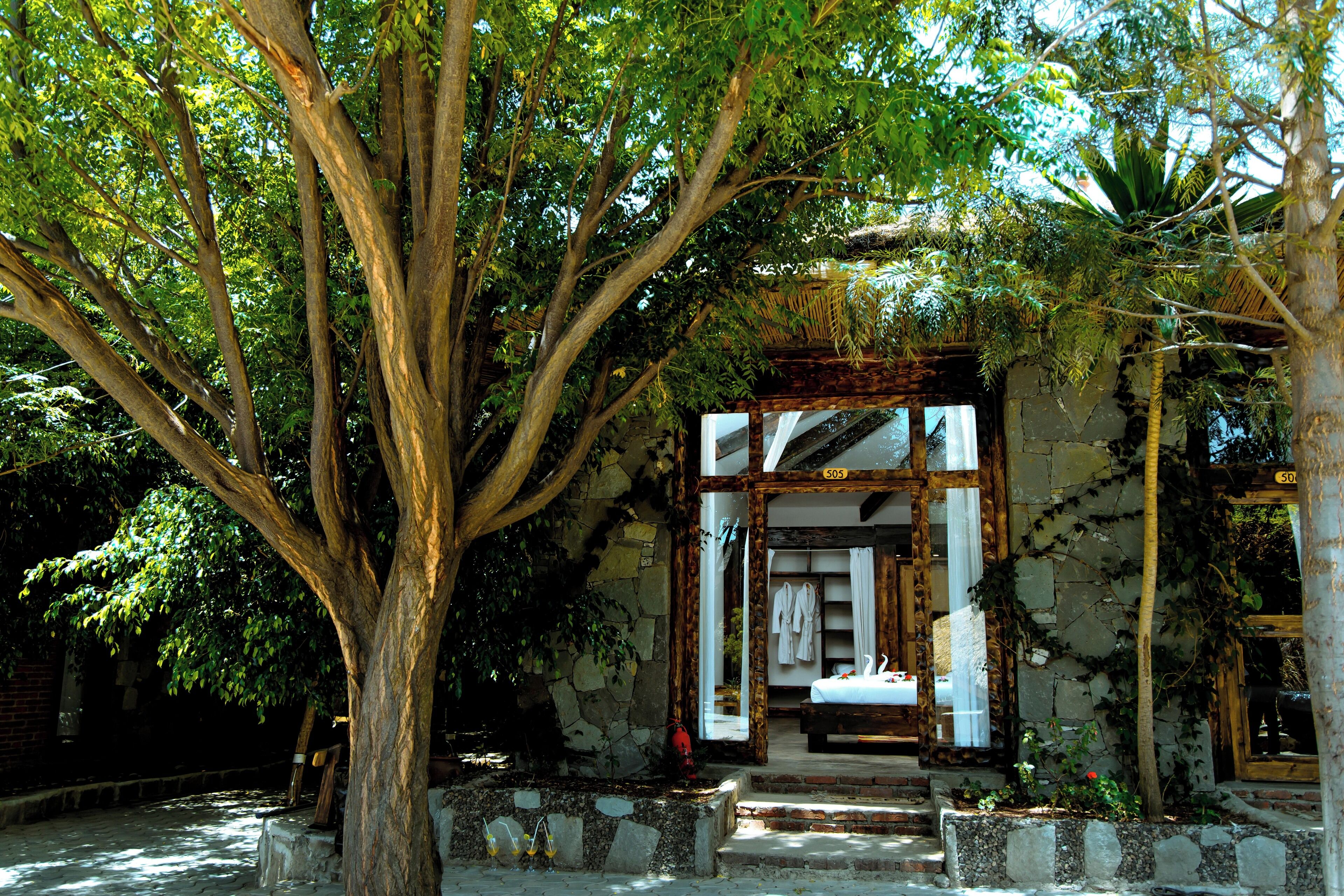 Kahden hengen premium-huone (kaksi sänkyä) | Ylelliset vuodevaatteet, minibaari, tallelokero huoneessa, työpöytä