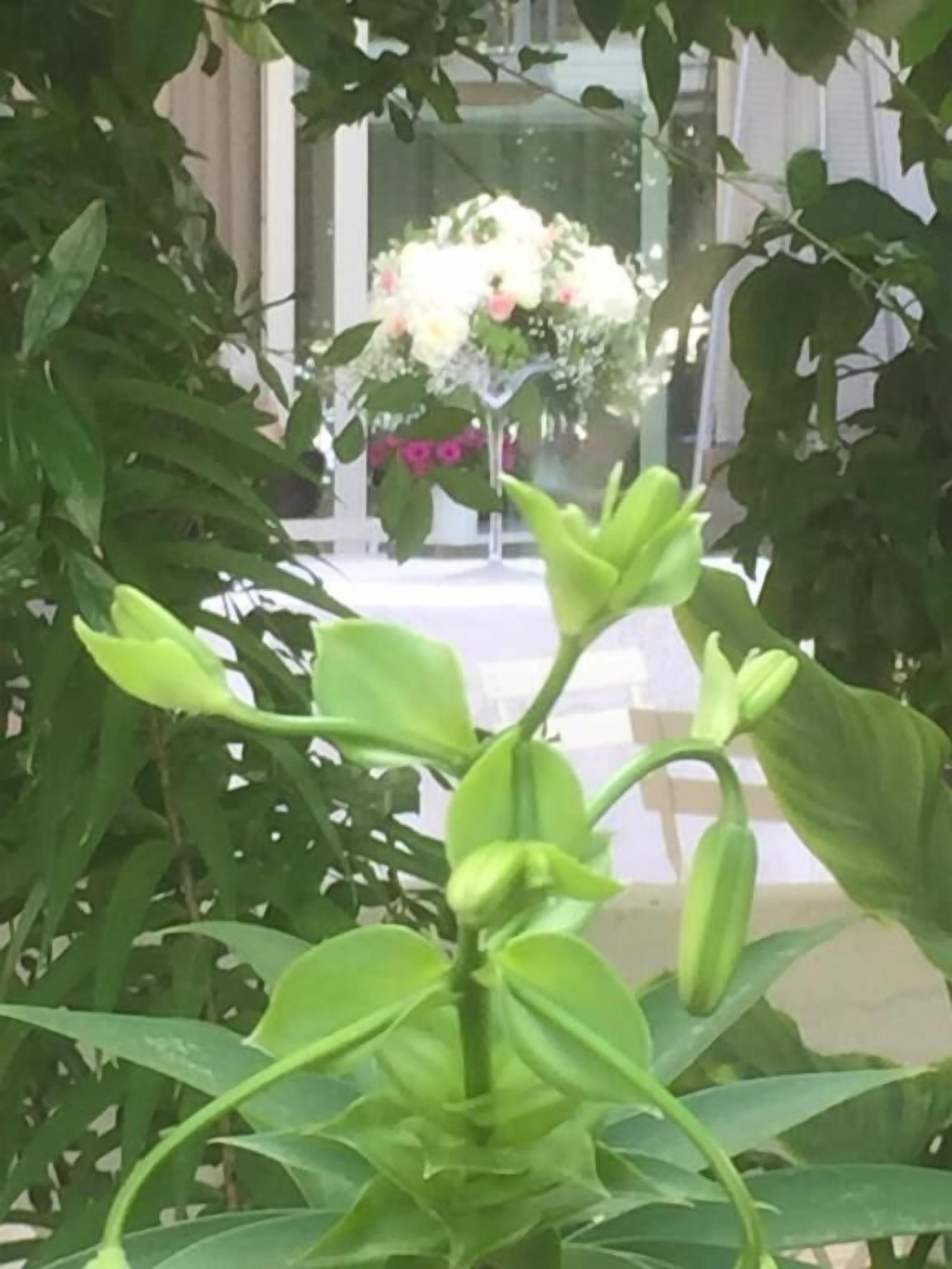 Foto - FEMily B&B Bed and Breakfast di Puglia in - Bari