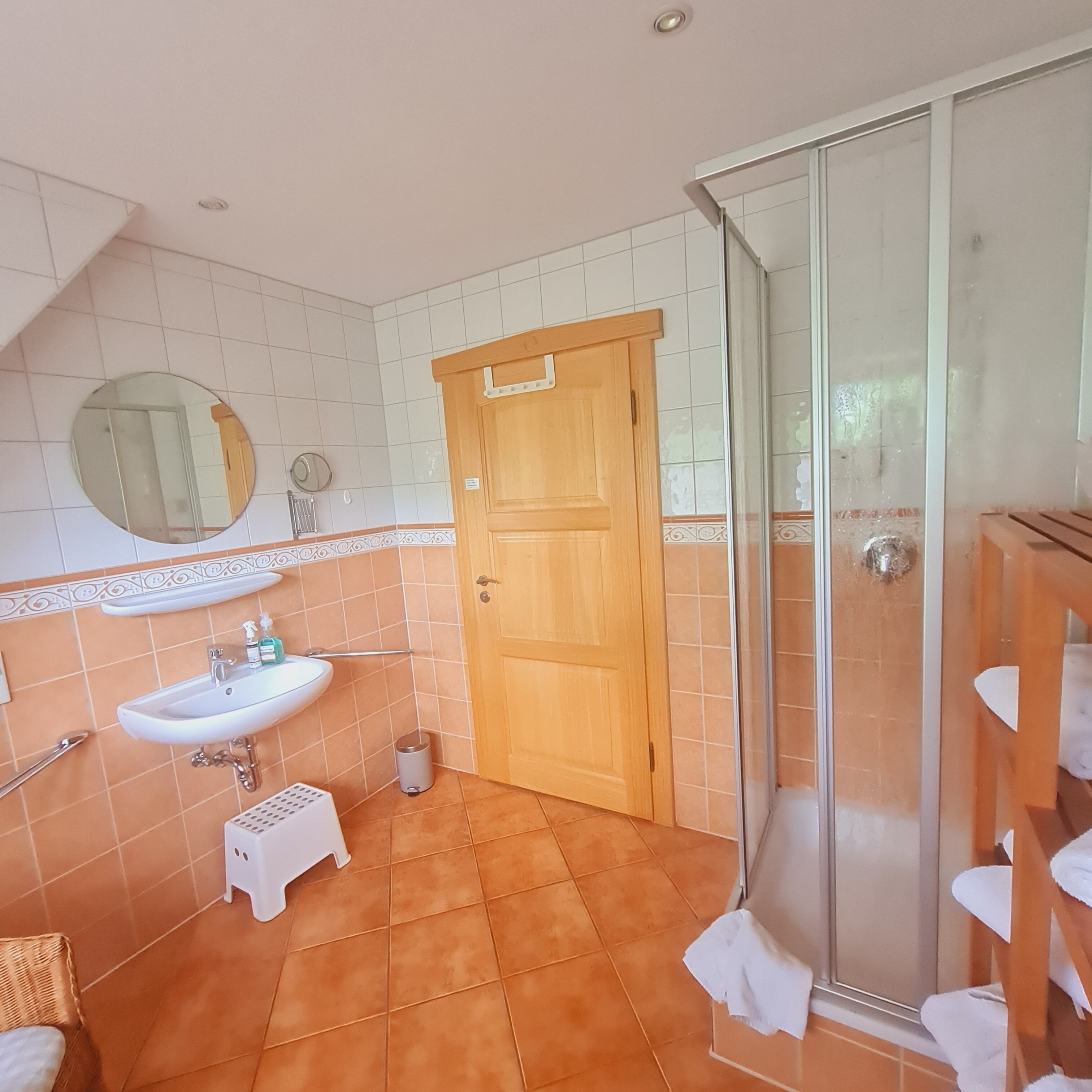 A bathroom with a sink, mirror, and shower.