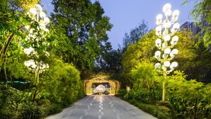 Un sentier menant à l’entrée d’un tunnel, bordé d’une végétation luxuriante et illuminé de guirlandes lumineuses décoratives.