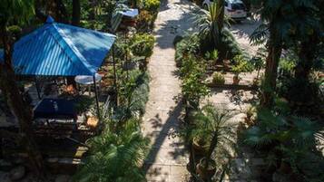 Deluxe Room, Garden View, Garden Area | Garden view