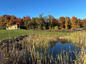 A building with a sloped roof, a grassy field, and a pond with reeds. - Lakeside Resort (Watkins Glen)