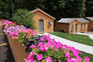 Cabin, 1 King Bed | Courtyard view
