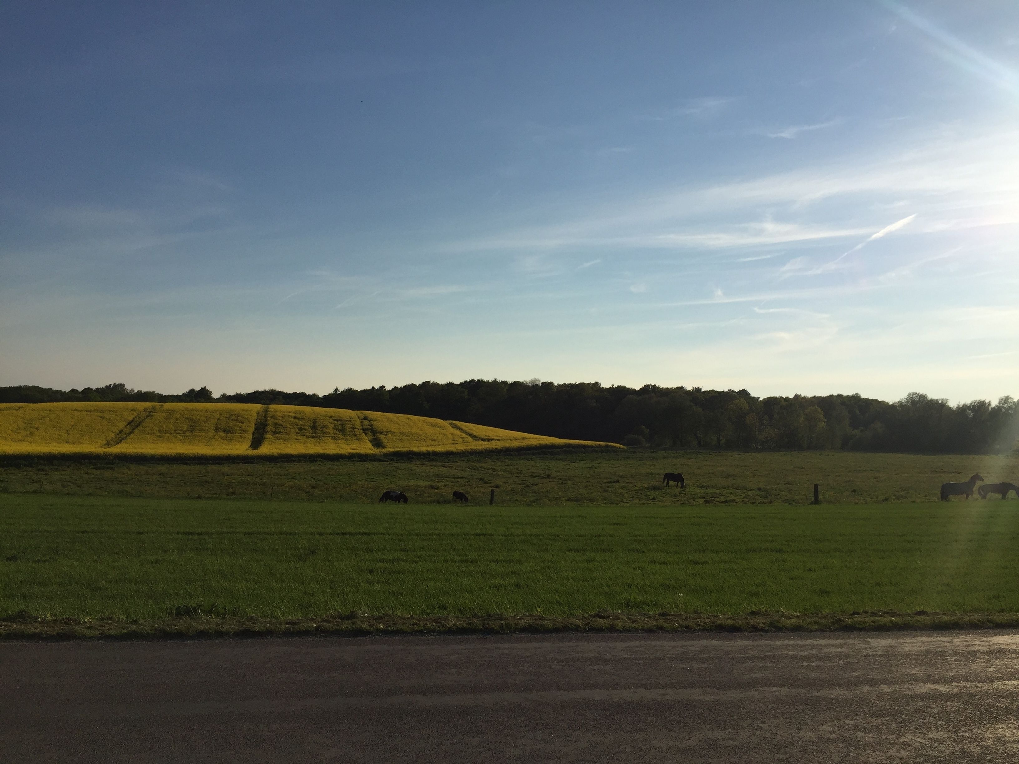 A rural landscape with fields, a road, and a fence.